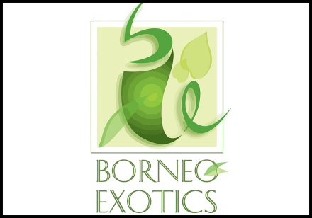 Borneo Exotics : Partenaire Officiel