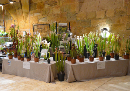 Nos Expositions 2025